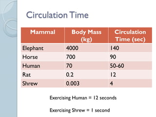11 Circulatory Systems I PPT.pdf