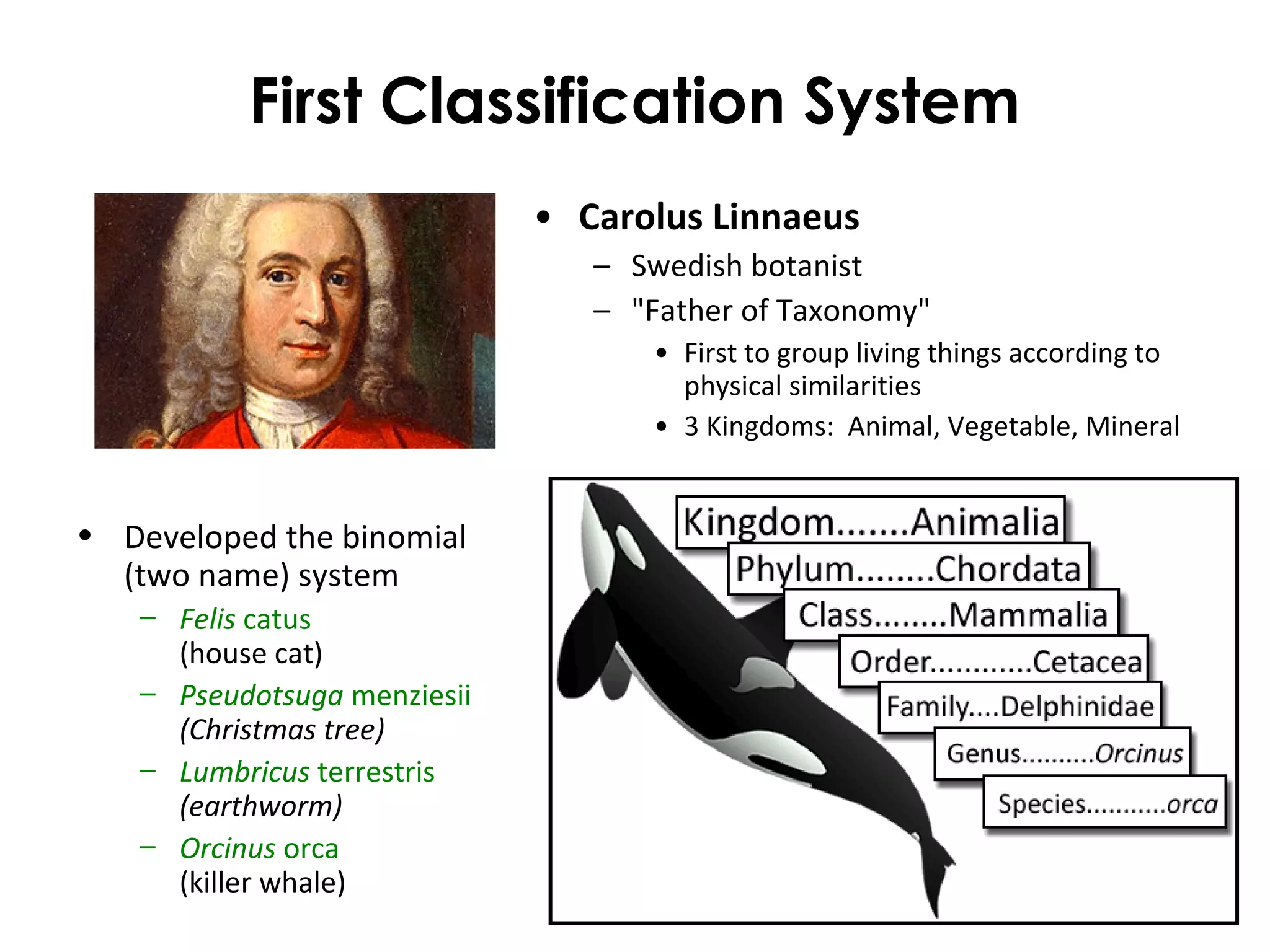 First Classification System
• Developed the binomial
(two name) system
– Felis catus
(house cat)
– Pseudotsuga menziesii
(Christmas tree)
– Lumbricus terrestris
(earthworm)
– Orcinus orca
(killer whale)
• Carolus Linnaeus
– Swedish botanist
– "Father of Taxonomy"
• First to group living things according to
physical similarities
• 3 Kingdoms: Animal, Vegetable, Mineral
 