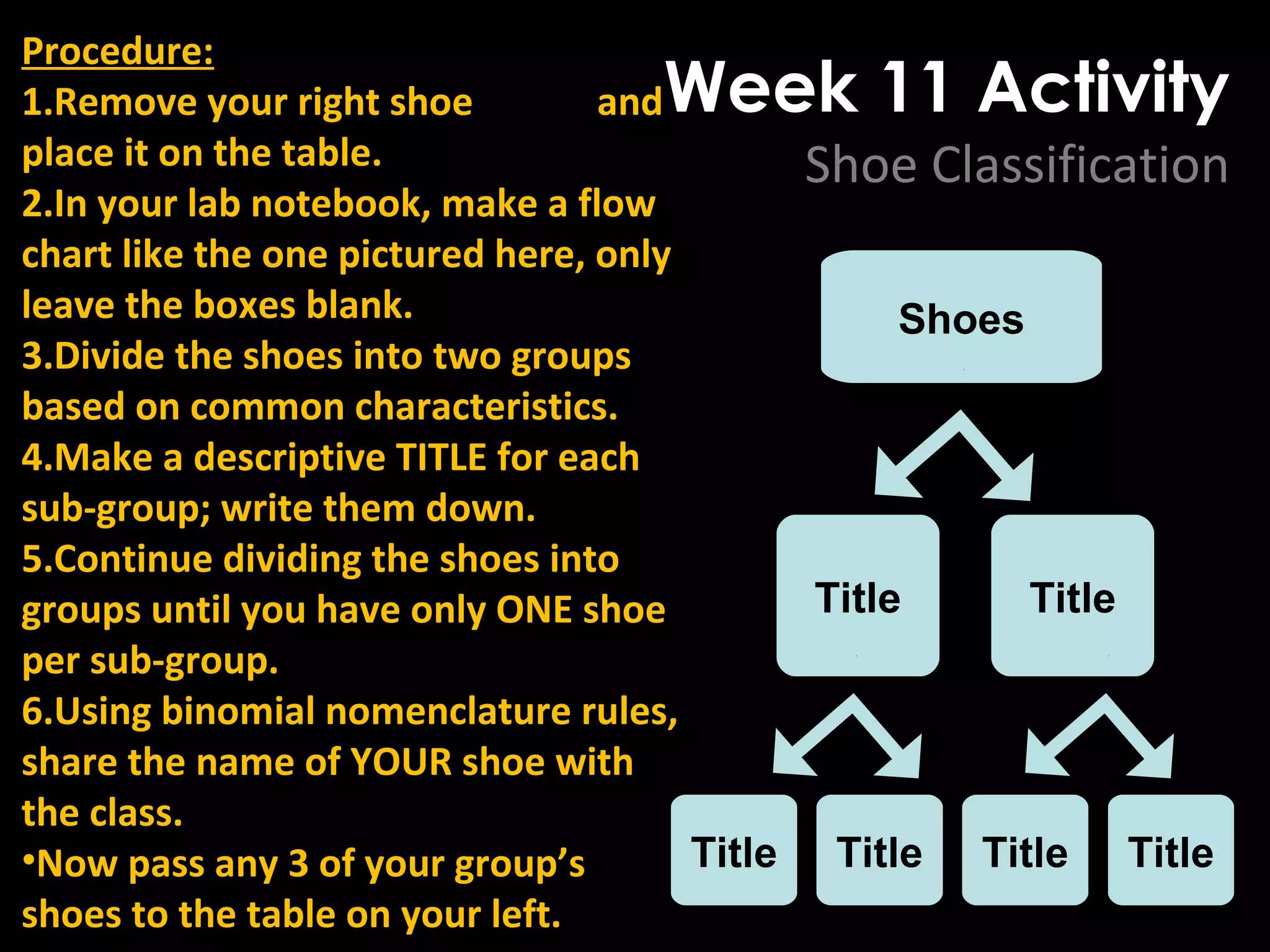 Week 11 Activity
Shoe Classification
Procedure:
1.Remove your right shoe and
place it on the table.
2.In your lab notebook, make a flow
chart like the one pictured here, only
leave the boxes blank.
3.Divide the shoes into two groups
based on common characteristics.
4.Make a descriptive TITLE for each
sub-group; write them down.
5.Continue dividing the shoes into
groups until you have only ONE shoe
per sub-group.
6.Using binomial nomenclature rules,
share the name of YOUR shoe with
the class.
•Now pass any 3 of your group’s
shoes to the table on your left.
Shoes
Title Title
Title TitleTitleTitle
 
