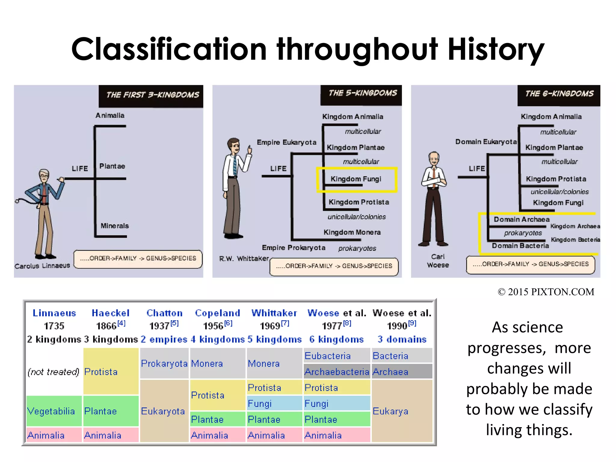 Classification throughout History
© 2015 PIXTON.COM
As science
progresses, more
changes will
probably be made
to how we classify
living things.
 