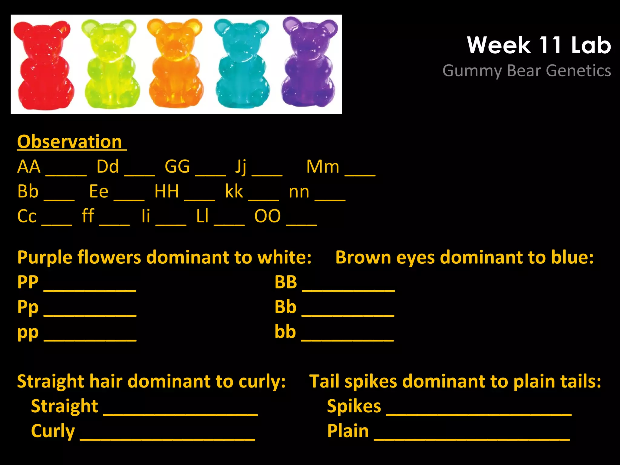 Week 11 Lab
Gummy Bear Genetics
Observation
AA ____ Dd ___ GG ___ Jj ___ Mm ___
Bb ___ Ee ___ HH ___ kk ___ nn ___
Cc ___ ff ___ Ii ___ Ll ___ OO ___
Purple flowers dominant to white: Brown eyes dominant to blue:
PP _________ BB _________
Pp _________ Bb _________
pp _________ bb _________
Straight hair dominant to curly: Tail spikes dominant to plain tails:
Straight _______________ Spikes __________________
Curly _________________ Plain ___________________
 