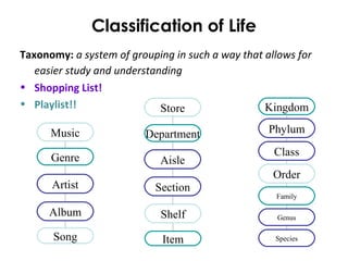Classification of Life
Taxonomy: a system of grouping in such a way that allows for
easier study and understanding
• Shopping List!
• Playlist!! Store
Department
Aisle
Section
Shelf
Item
Music
Genre
Artist
Album
Song
Domain
Kingdom
Phylum
Class
Order
Family
Genus
Species
 