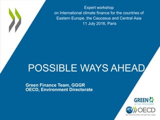 POSSIBLE WAYS AHEAD
Green Finance Team, GGGR
OECD, Environment Directorate
Expert workshop
on International climate finance for the countries of
Eastern Europe, the Caucasus and Central Asia
11 July 2016, Paris
 