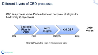 Different layers of CBD processes
CBD is a process where Parties decide on decennial strategies for
biodiversity (3 object...