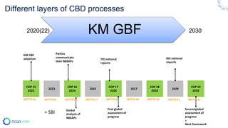 Different layers of CBD processes
KM GBF
2020(22) 2030
 
