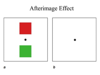 11_color1_2ddesign_cj.pdf