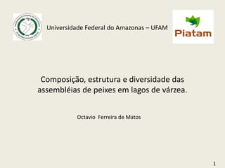 Universidade Federal do Amazonas – UFAM




 Composição, estrutura e diversidade das
assembléias de peixes em lagos de várzea.


           Octavio Ferreira de Matos




                                            1
 