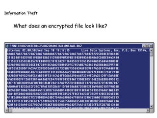Information Theft
What does an encrypted file look like?
 