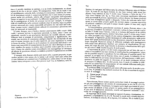 Comunicazione Comunicazione
tina e il cervello decidono in anticipo, e a un livello fondamentale, su alcuni
aspetti di ciò che si sta per vedere. Di conseguenza, l'idea che in realtà vi sia
ippme e m van paesi dell Africa nera ha utihzzato l illusione ottica di M 11
un modellamento culturale della «struttura di conoscenza» condivisa dai mem
Lyer. Si tratta di una figura formata da due linee verticali della stessa lun
bri di determinate società è comprovata dal fatto che vi sono norme di punteg
ghezza, l'una conclusa da due V rivolte verso l'interno, e l'altra da due V ri
iatura anche piu profonde, relative allo sviluppo ontogenico dell'organismo
volte verso l'esterno (cfr. fig. z). Sono state riscontrate significative differenze
umano in rapprapporto ai suoi ambienti. La differenza significativa, naturalmente, è
nelle percentuali di persone, appartenenti a culture diverse che hanno giud'
t)
o giu ica o
che la punteggiatura al livello dei processi nervosi (per esempio, o svi uppo
e ue linee di lunghezza uguale o disuguale. Coloro che cadevano meno facil
delle reti dendritiche nella corteccia cerebrale dopo la nascita), segue in genere
mente inerrore erano proprio quelliche avevano scarsao nessuna esperie
ercorsi universali piu o meno immutabili nell'ambito dei vari stadi dell'evolu
i ambienti «costruiti», nei quali il campo visuale è pieno di linee rette, angoli
retti ed ottusi, ecc.
zione; mentre invece i singoli schemi culturali di conoscenza e percezione non Un interpretazione generalmente accettata di questa illusione ottica è che
!'
sono né universali né immutabili.
L'uomo, dunque, non si limita a ricevere passivamente delle «copie» della
le persone provenienti da ambienti «costruiti » vedono la linea verticale conclu
realtà: i processi nervosi, le esperienze personali, la classe, razza e sesso cui
sa dalle V rivolte verso l'interno, come se si trattasse dell'angolo di un edificio
appartiene, nonché la sua accettazione inconscia dei modelli culturali, contri
rettangolare visto dall'esterno, mentre l'altra linea, con le V rivolte verso l'ester
buiscono tutti ai processi di percezione, comprensione e significazione, for
no, viene percepita come l'angolo di una camera rettangolare vista dall'interno.
mando una struttura di conoscenza analogico-digitale che corrisponde ad una
In sostanza, si esprimono giudizi inconsapevoli sulla prossimità e sulla proie
serie di norme inconsce, ma di solito mutevoli, sul come organizzare la varietà
zione dello spazio tridimensionale su due dimensioni, cosicché le due linee sem
in forme di ordine. Il modo in cui le strutture di conoscenza individuali e co
brano disuguali. Numerosi esempi di differenze analoghe nella punteggiatura
lettive sono suscettibili di manipolazione da parte dei valori ideologici ed econo
della realtà sono abbastanza familiari: per esempio, la classificazione dei seg
mici, significa che spesso, in pratica, non è possibile vedere quel che c'è da ve
menti del corpo da parte degli Aztechi, la divisione e classificazione dello spet
dere, a meno che qualche evento straordinario non sopraggiunga ad infrangere
tro del colore e delle tonalità da parte di molti popoli.
gli schemi di percezione abituali e a renderne possibile l'organizzazione secondo
L'importanza di questi e di altri studi comparativi sta nel fatto che essi ri
valori diversi.
velano la necessità di una base minima di similitudine fra punteggiature, prima
L'esempio delle illusioni ottiche può essere utile, a questo proposito, in par
che sia possibile scoprire o specificare fra loro differenze di qualsiasi specie. Per
ticolare perché si dice spesso che la visione e gli esempi visivi sono culture
free
esempio, in un tipico test di illusione ottica, non c'è modo, in definitiva, di sta
(e sono utilizzati nei cosiddetti test d'«intelligenza» culturefree). Un test di per
bilire la differenza fra un'errata interpretazione dell'esperimento o dello speri
cezione visiva sottoposto a circa i8oo persone negli Usa, in Sudadafrica nelle Fi
mentatore da parte del soggetto (e viceversa), ed un mòdo totalmente diverso
di percepire lo schema dato. In altre parole, non c'è modo di stabilire la diffe
renza fra un errore base di comprensione ed una radicale differenza nella pun
teggiatura della percezione (Campbell).
Il problema della punteggiatura può essere affrontato anche da un altro pun
to di vista. Si prendano due mittenti-recettori A e B che si scambino la seguen
te serie di messaggi:
A Da mmiun po' d'acqua.
B [Versa l'acqua].
A Gr azie.
N 1aturalmente, l avere isolato questa particolare triade di messaggi costitui
sce già una punteggiatura del circuito di comunicazione in atto fra A e B e fra
essi e il loro ambiente. Nondimeno, la maggior parte degli esperimenti di psico
logia umana ed animale si basa proprio su questa specie di pre-punteggiatura
di una serie di interazioni sistemiche, nonché sull'apparente innocuità o neu
tralità dei messaggi prescelti.
Si supponga ora di essere interessati ai rapporti di potere, dominazione, di
Figura s.
L'illusione ottica di Miiller-Lyer.
pendenza e responsabilità fra A e B. Secondo la teoria dello stimolo-risposta
rinforzo, A fornisce lo stimolo, B la risposta, A il rinforzo. Ma in realtà la pun
 