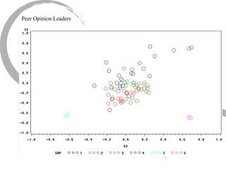 Peer Opinion Leaders 