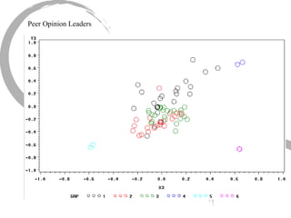 Peer Opinion Leaders 