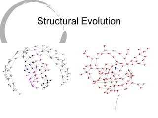 Structural Evolution 