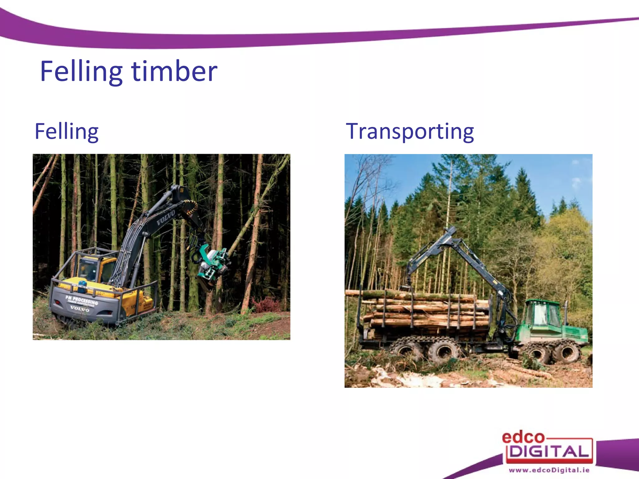 Felling timber
Felling

Transporting

 