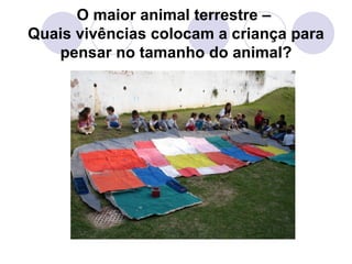 O maior animal terrestre –
Quais vivências colocam a criança para
   pensar no tamanho do animal?
 