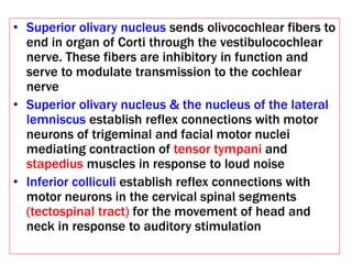 • Superior olivary nucleus sends olivocochlear fibers to
end in organ of Corti through the vestibulocochlear
nerve. These fibers are inhibitory in function and
serve to modulate transmission to the cochlear
nerve
• Superior olivary nucleus & the nucleus of the lateral
lemniscus establish reflex connections with motor
neurons of trigeminal and facial motor nuclei
mediating contraction of tensor tympani and
stapedius muscles in response to loud noise
• Inferior colliculi establish reflex connections with
motor neurons in the cervical spinal segments
(tectospinal tract) for the movement of head and
neck in response to auditory stimulation
 