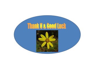 11Cranial nerve 8 (Vestibulo-cochlear).ppt