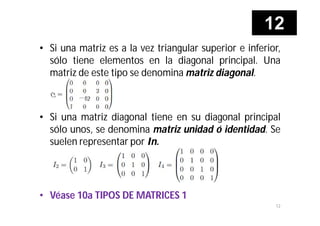 Matriz Diagonal Inferior MATRICES, SISTEMA DE ECUACIONES LINEALES Y DETERMINANTES | PDF