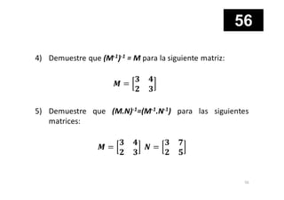 Matriz Inconsistente MATRICES, SISTEMA DE ECUACIONES LINEALES Y DETERMINANTES | PDF