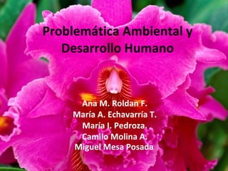 Problemática Ambiental y Desarrollo Humano Ana M. Roldan F. María A. Echavarría T. María I. Pedroza. Camilo Molina A. Miguel Mesa Posada . . 