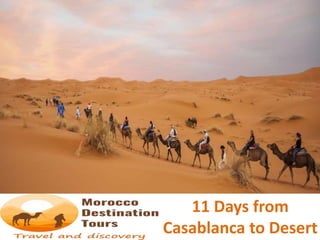 11 Days from
Casablanca to Desert
 