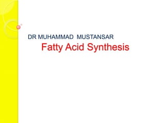 DR MUHAMMAD MUSTANSAR
   Fatty Acid Synthesis
 