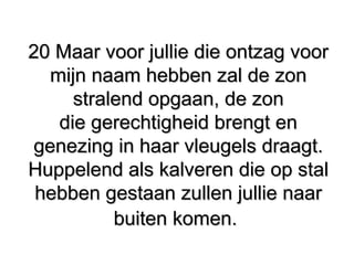 20 Maar voor jullie die ontzag voor20 Maar voor jullie die ontzag voor
mijn naam hebben zal de zonmijn naam hebben zal de zon
stralend opgaan, de zonstralend opgaan, de zon
die gerechtigheid brengt endie gerechtigheid brengt en
genezing in haar vleugels draagt.genezing in haar vleugels draagt.
Huppelend als kalveren die op stalHuppelend als kalveren die op stal
hebben gestaan zullen jullie naarhebben gestaan zullen jullie naar
buiten komen.buiten komen.
 