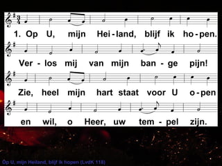 Op U, mijn Heiland, blijf ik hopen (LvdK 118)
 