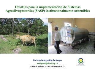 Desafíos para la implementación de Sistemas
Agrosilvopastoriles (SASP) institucionalmente sostenibles

Enrique Murgueitio Restrepo
enriquem@cipav.org.co
Codelac México D.F. 02 diciembre 2013

 