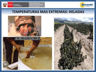 TEMPERATURAS MAS EXTREMAS: HELADAS
 