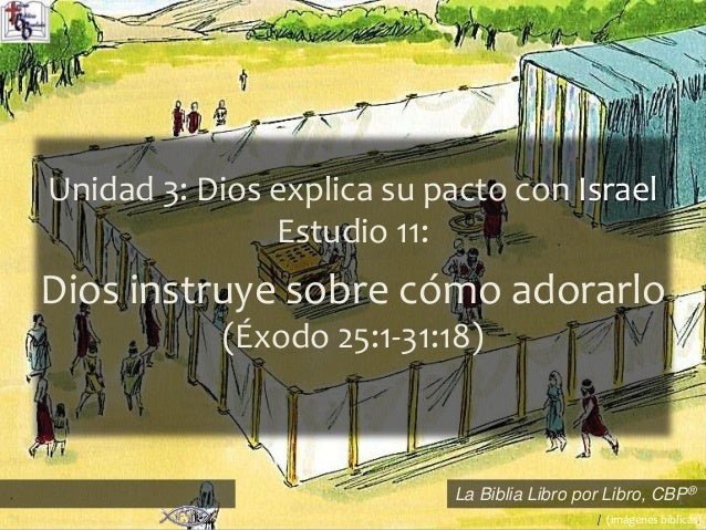 1
La Biblia Libro por Libro, CBP®
Unidad 3: Dios explica su pacto con Israel
Estudio 11:
Dios instruye sobre cómo adorarlo
(Éxodo 25:1-31:18)
/ (imágenes bíblicas).
 