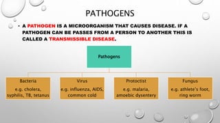 Pathogens
Bacteria
e.g. cholera,
syphilis, TB, tetanus
Virus
e.g. influenza, AIDS,
common cold
Protoctist
e.g. malaria,
amoebic dysentery
Fungus
e.g. athlete’s foot,
ring worm
PATHOGENS
• A PATHOGEN IS A MICROORGANISM THAT CAUSES DISEASE. IF A
PATHOGEN CAN BE PASSES FROM A PERSON TO ANOTHER THIS IS
CALLED A TRANSMISSIBLE DISEASE.
 