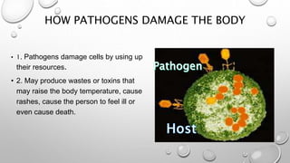 HOW PATHOGENS DAMAGE THE BODY
• 1. Pathogens damage cells by using up
their resources.
• 2. May produce wastes or toxins that
may raise the body temperature, cause
rashes, cause the person to feel ill or
even cause death.
 