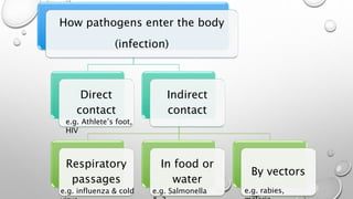 How pathogens enter the body
(infection)
Direct
contact
Indirect
contact
Respiratory
passages
In food or
water
By vectors
e.g. Athlete’s foot,
HIV
e.g. influenza & cold e.g. Salmonella e.g. rabies,
 