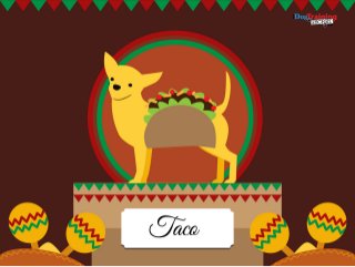 11 Creative DIY Dog Costumes You Can Make In Time For Halloween