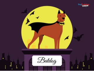 11 Creative DIY Dog Costumes You Can Make In Time For Halloween