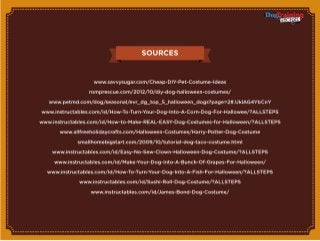 11 Creative DIY Dog Costumes You Can Make In Time For Halloween