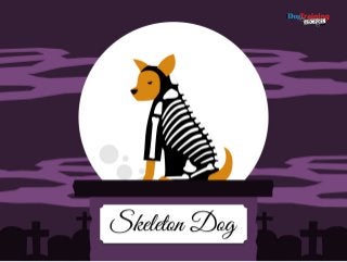 11 Creative DIY Dog Costumes You Can Make In Time For Halloween