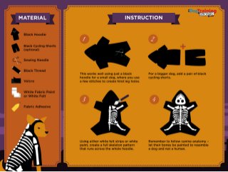 11 Creative DIY Dog Costumes You Can Make In Time For Halloween