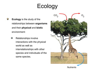 Ecology
Ecology is the study of the
relationships between organisms
and their physical and biotic
environment:
Relationships involve
interactions with the physical
world as well as
interrelationships with other
species and individuals of the
same species.
O
2
Nutrients
CO
2
 