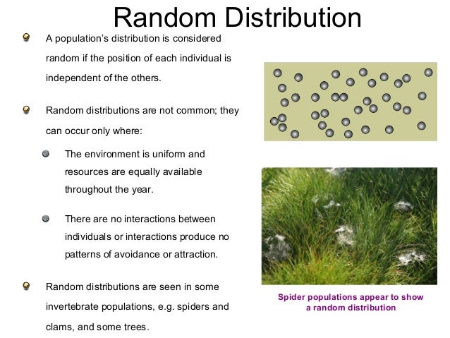 What Are Some Examples Of Nature In Humans What Are Some Examples Of Nature In Humans
