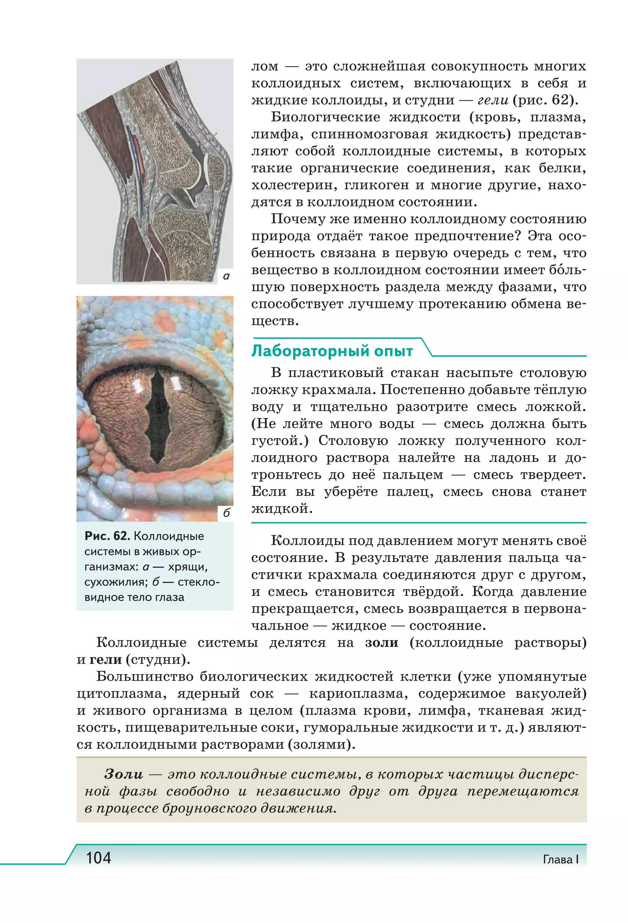 104 Глава I
лом — это сложнейшая совокупность многих
коллоидных систем, включающих в себя и
жидкие коллоиды, и студни — гели (рис. 62).
Биологические жидкости (кровь, плазма,
лимфа, спинномозговая жидкость) представ-
ляют собой коллоидные системы, в которых
такие органические соединения, как белки,
холестерин, гликоген и многие другие, нахо-
дятся в коллоидном состоянии.
Почему же именно коллоидному состоянию
природа отдаёт такое предпочтение? Эта осо-
бенность связана в первую очередь с тем, что
вещество в коллоидном состоянии имеет бо́ль-
шую поверхность раздела между фазами, что
способствует лучшему протеканию обмена ве-
ществ.
Лабораторный опыт
В пластиковый стакан насыпьте столовую
ложку крахмала. Постепенно добавьте тёплую
воду и тщательно разотрите смесь ложкой.
(Не лейте много воды — смесь должна быть
густой.) Столовую ложку полученного кол-
лоидного раствора налейте на ладонь и до-
троньтесь до неё пальцем — смесь твердеет.
Если вы уберёте палец, смесь снова станет
жидкой.
Коллоиды под давлением могут менять своё
состояние. В результате давления пальца ча-
стички крахмала соединяются друг с другом,
и смесь становится твёрдой. Когда давление
прекращается, смесь возвращается в первона-
чальное — жидкое — состояние.
Коллоидные системы делятся на золи (коллоидные растворы)
и гели (студни).
Большинство биологических жидкостей клетки (уже упомянутые
цитоплазма, ядерный сок — кариоплазма, содержимое вакуолей)
и живого организма в целом (плазма крови, лимфа, тканевая жид-
кость, пищеварительные соки, гуморальные жидкости и т. д.) являют-
ся коллоидными растворами (золями).
Золи — это коллоидные системы, в которых частицы дисперс-
ной фазы свободно и независимо друг от друга перемещаются
в процессе броуновского движения.
Рис. 62. Коллоидные
системы в живых ор-
ганизмах: а — хрящи,
сухожилия; б — стекло-
видное тело глаза
а
б
 