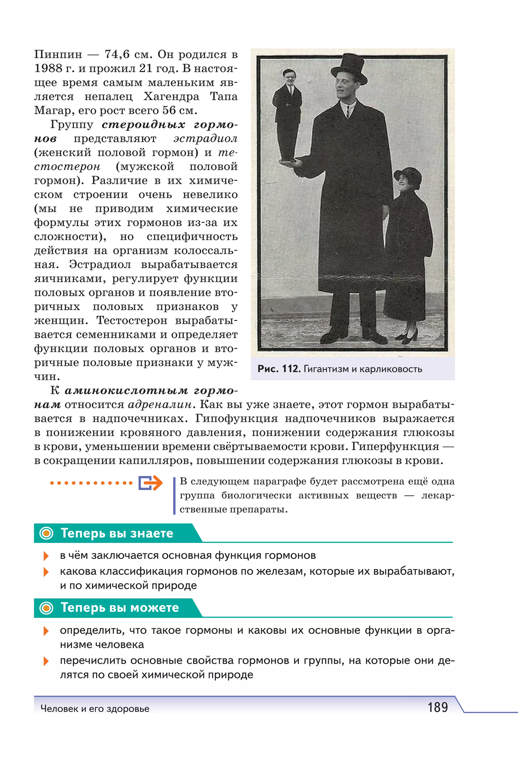 Человек и его здоровье 189
Пинпин — 74,6 см. Он родился в
1988 г. и прожил 21 год. В настоя-
щее время самым маленьким яв-
ляется непалец Хагендра Тапа
Магар, его рост всего 56 см.
Группу стероидных гормо-
нов представляют эстрадиол
(женский половой гормон) и те-
стостерон (мужской половой
гормон). Различие в их химиче-
ском строении очень невелико
(мы не приводим химические
формулы этих гормонов из-за их
сложности), но специфичность
действия на организм колоссаль-
ная. Эстрадиол вырабатывается
яичниками, регулирует функции
половых органов и появление вто-
ричных половых признаков у
женщин. Тестостерон вырабаты-
вается семенниками и определяет
функции половых органов и вто-
ричные половые признаки у муж-
чин.
К аминокислотным гормо-
нам относится адреналин. Как вы уже знаете, этот гормон вырабаты-
вается в надпочечниках. Гипофункция надпочечников выражается
в понижении кровяного давления, понижении содержания глюкозы
в крови, уменьшении времени свёртываемости крови. Гиперфункция —
в сокращении капилляров, повышении содержания глюкозы в крови.
В следующем параграфе будет рассмотрена ещё одна
группа биологически активных веществ — лекар-
ственные препараты.
Теперь вы знаете
в чём заключается основная функция гормонов
какова классификация гормонов по железам, которые их вырабатывают,
и по химической природе
Теперь вы можете
определить, что такое гормоны и каковы их основные функции в орга-
низме человека
перечислить основные свойства гормонов и группы, на которые они де-
лятся по своей химической природе
Рис. 112. Гигантизм и карликовость
 