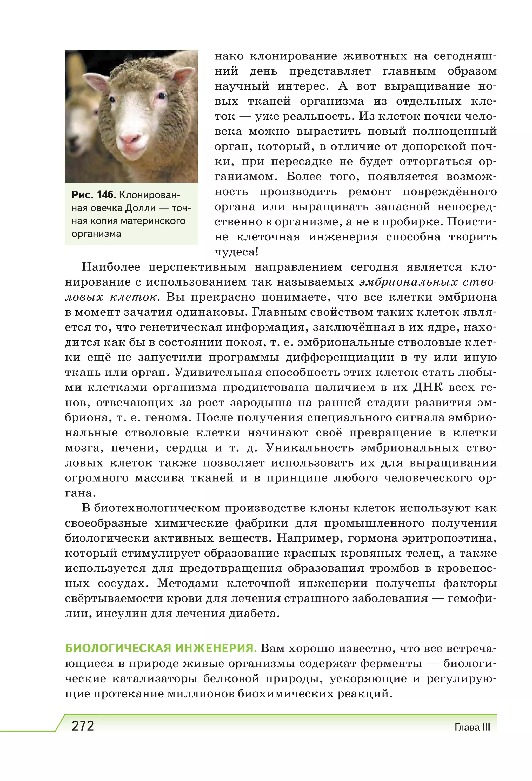272 Глава III
нако клонирование животных на сегодняш-
ний день представляет главным образом
научный интерес. А вот выращивание но-
вых тканей организма из отдельных кле-
ток — уже реальность. Из клеток почки чело-
века можно вырастить новый полноценный
орган, который, в отличие от донорской поч-
ки, при пересадке не будет отторгаться ор-
ганизмом. Более того, появляется возмож-
ность производить ремонт повреждённого
органа или выращивать запасной непосред-
ственно в организме, а не в пробирке. Поисти-
не клеточная инженерия способна творить
чудеса!
Наиболее перспективным направлением сегодня является кло-
нирование с использованием так называемых эмбриональных ство-
ловых клеток. Вы прекрасно понимаете, что все клетки эмбриона
в момент зачатия одинаковы. Главным свойством таких клеток явля-
ется то, что генетическая информация, заключённая в их ядре, нахо-
дится как бы в состоянии покоя, т. е. эмбриональные стволовые клет-
ки ещё не запустили программы дифференциации в ту или иную
ткань или орган. Удивительная способность этих клеток стать любы-
ми клетками организма продиктована наличием в их ДНК всех ге-
нов, отвечающих за рост зародыша на ранней стадии развития эм-
бриона, т. е. генома. После получения специального сигнала эмбрио-
нальные стволовые клетки начинают своё превращение в клетки
мозга, печени, сердца и т.  д. Уникальность эмбриональных ство-
ловых клеток также позволяет использовать их для выращивания
огромного массива тканей и в принципе любого человеческого ор-
гана.
В биотехнологическом производстве клоны клеток используют как
своеобразные химические фабрики для промышленного получения
биологически активных веществ. Например, гормона эритропоэтина,
который стимулирует образование красных кровяных телец, а также
используется для предотвращения образования тромбов в кровенос-
ных сосудах. Методами клеточной инженерии получены факторы
свёртываемости крови для лечения страшного заболевания — гемофи-
лии, инсулин для лечения диабета.
БИОЛОГИЧЕСКАЯ ИНЖЕНЕРИЯ. Вам хорошо известно, что все встреча-
ющиеся в природе живые организмы содержат ферменты — биологи-
ческие катализаторы белковой природы, ускоряющие и регулирую-
щие протекание миллионов биохимических реакций.
Рис. 146. Клонирован-
ная овечка Долли — точ-
ная копия материнского
организма
 