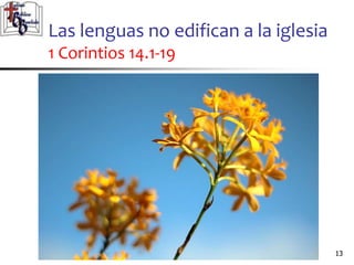 Las lenguas no edifican a la iglesia
1 Corintios 14.1-19
1313
 