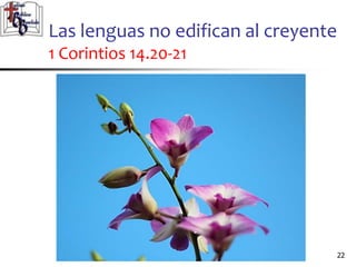 Las lenguas no edifican al creyente
1 Corintios 14.20-21
2222
 