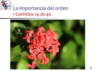 La importancia del orden
1 Corintios 14.26-40
3232
 