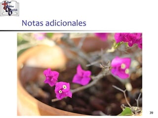 Notas adicionales
3939
 