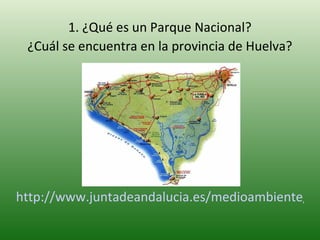 1. ¿Qué es un Parque Nacional? ¿Cuál se encuentra en la provincia de Huelva? http://www.juntadeandalucia.es/medioambiente/site/web/menuitem.486fc6e1933804f2c562ce105510e1ca/?vgnextoid=c349185968f04010VgnVCM1000001625e50aRCRD&vgnextchannel=3259b19c7acf2010VgnVCM1000001625e50aRCRD&lr=lang_es 