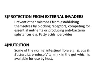 3)PROTECTION FROM EXTERNAL INVADERS
Prevent other microbes from establishing
themselves by blocking receptors, competing for
essential nutrients or producing anti-bacteria
substances e.g. Fatty acids, peroxides.
4)NUTRITION
Some of the normal intestinal flora e.g. E. coli &
Bacteroids produce Vitamin K in the gut which is
available for use by host.
 