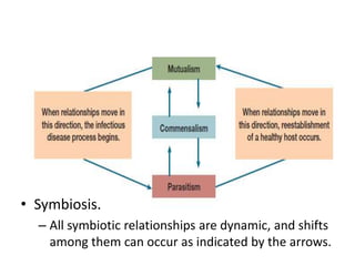 • Symbiosis.
– All symbiotic relationships are dynamic, and shifts
among them can occur as indicated by the arrows.
 
